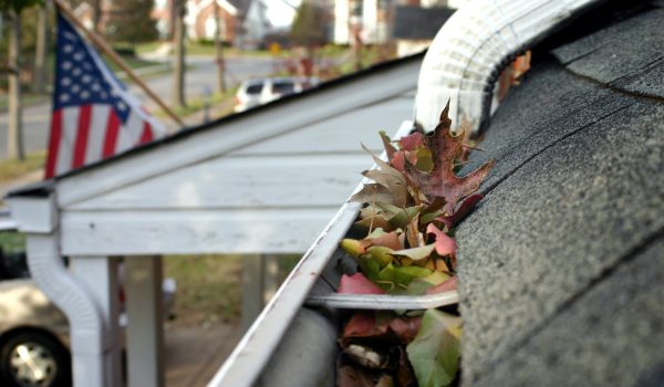 A fall tradition - cleaning the gutters of leaves. Here, we see them clogging the gutters of a traditional home. Narrow DOF used for advertising/clean up articles/etc.