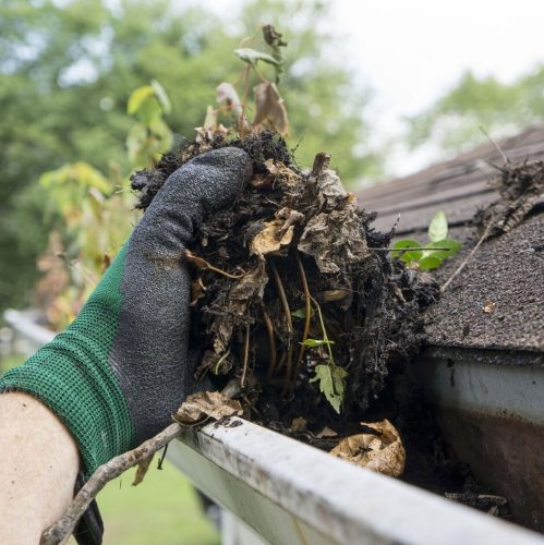Gutter_Cleaning_Hand_Square_9a093a33-4017-4b01-921b-e6f66c50b28a